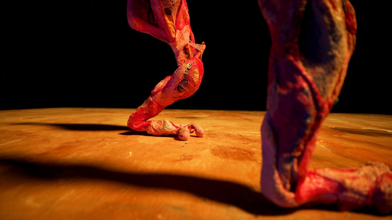 The Expressive Movement of Artist Stephanie J. Williams’ Stop-Motion Experiment, ‘The Expectation of the Observed’