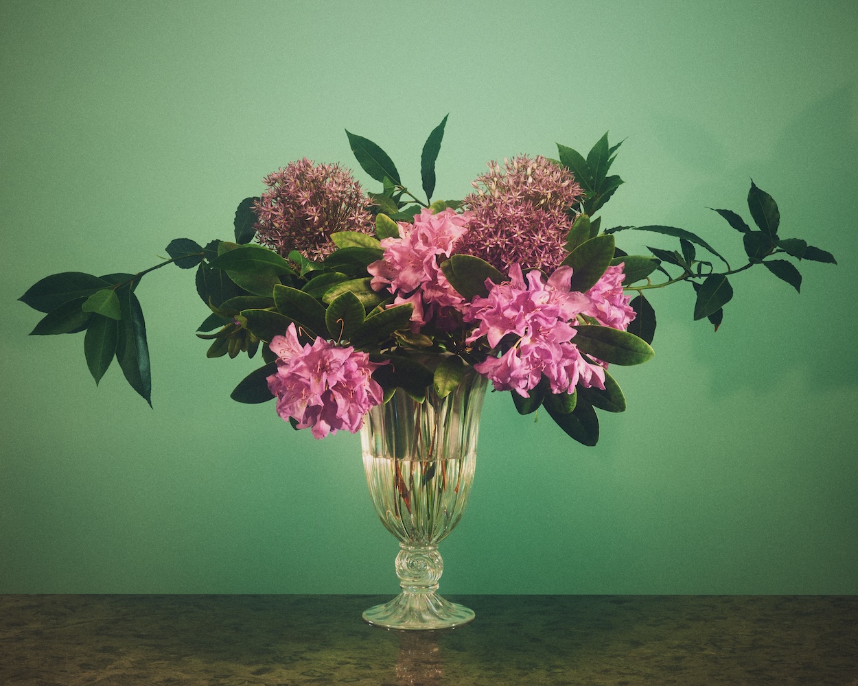 Sophie Bille Brahe Launches the Cellophane Nuage Collection