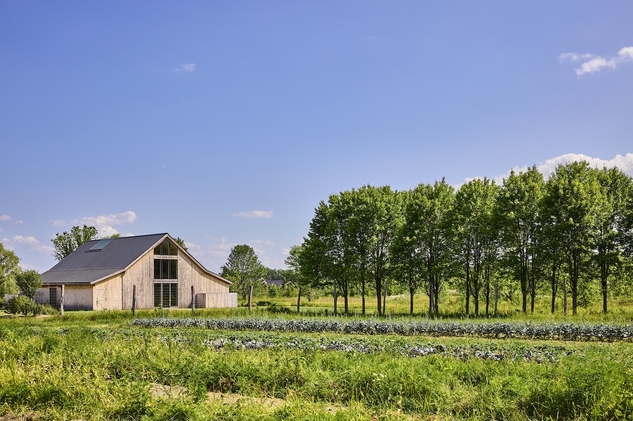 At Wildflower Farms, Chef Joshua Pinsky Lets The Harvest Set The Menu